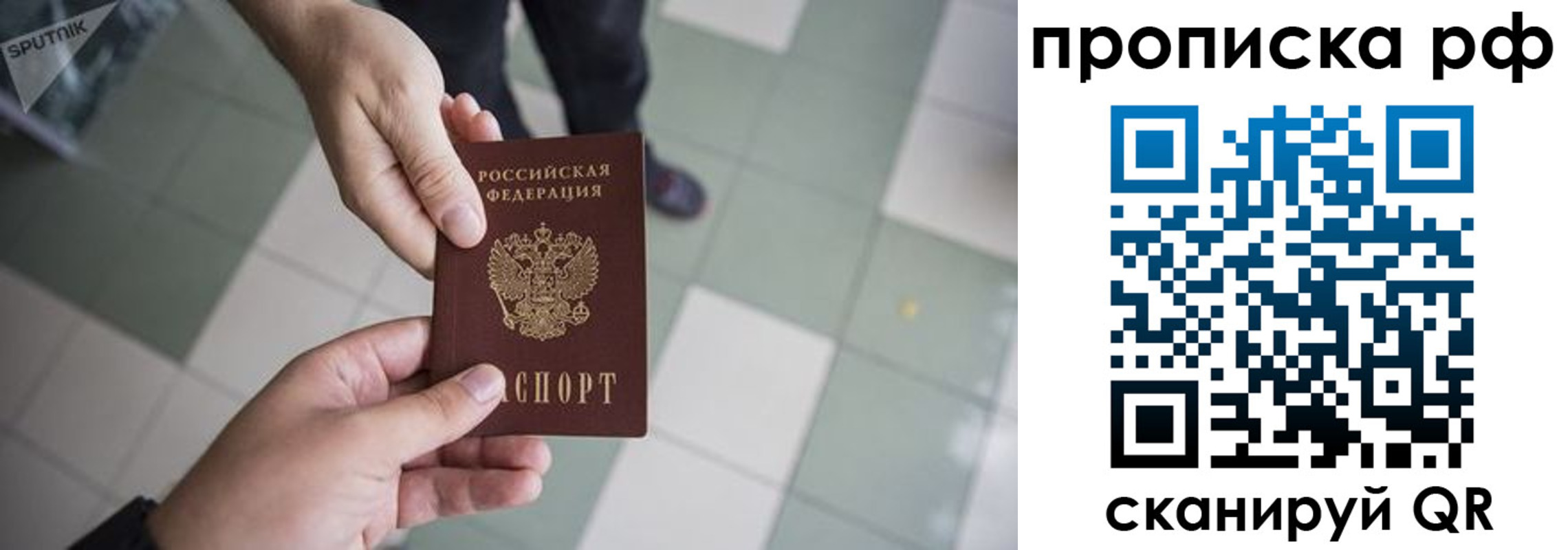 прописка гарантия в Светлогорске