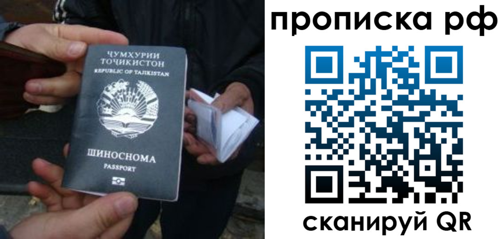форма 3 в Светлогорске