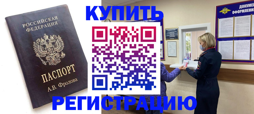 прописка гарантия в Светлогорске